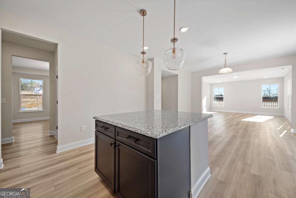 101 Cedar Crest Lane Dawsonville - Photo 16