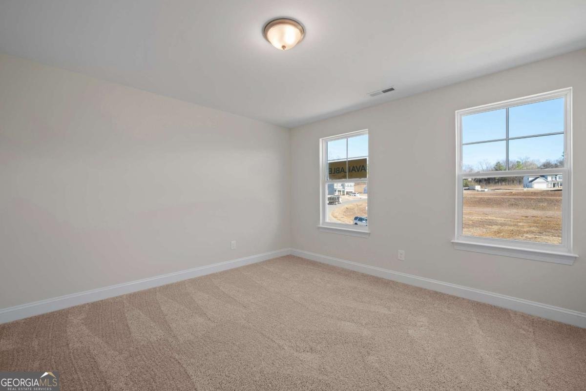 101 Cedar Crest Lane Dawsonville - Photo 34