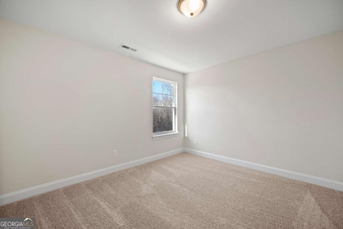 101 Cedar Crest Lane Dawsonville - Photo 35