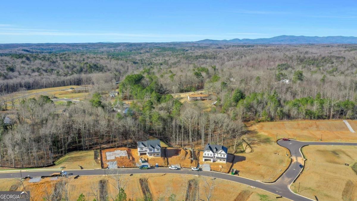 101 Cedar Crest Lane Dawsonville - Photo 56