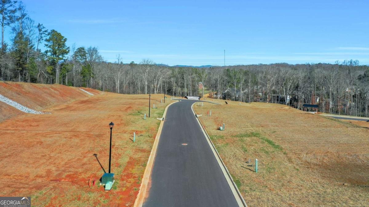 101 Cedar Crest Lane Dawsonville - Photo 59