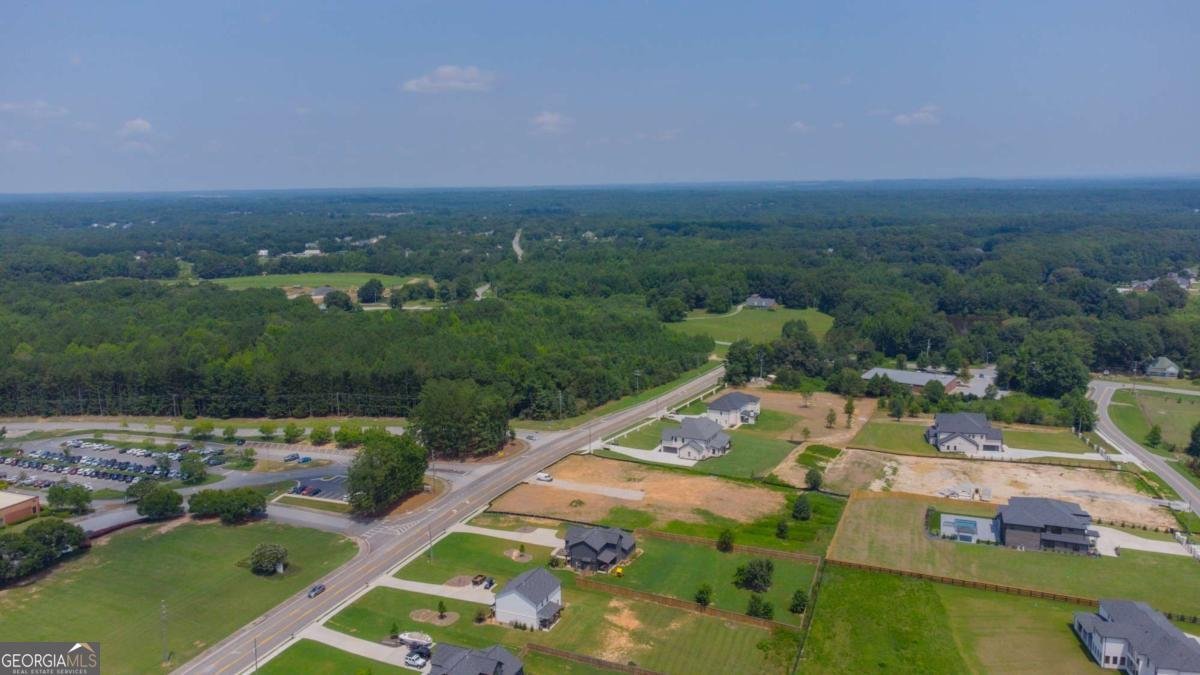 3575 New Hope Road Dacula - Photo 65
