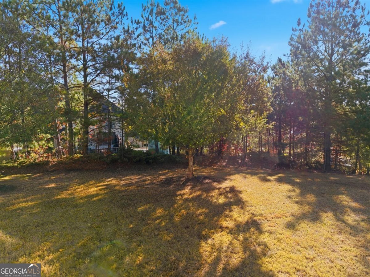 1719 Cromwell Lane Lithia Springs - Photo 47
