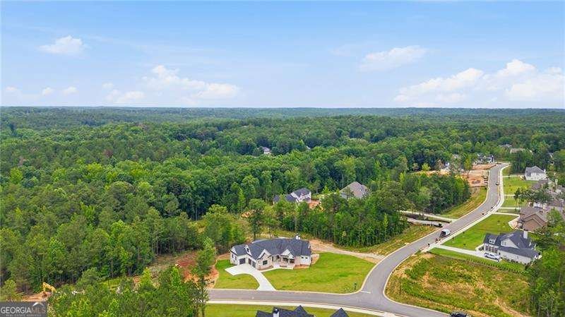 39 Sweet Rose Court Newnan - Photo 51