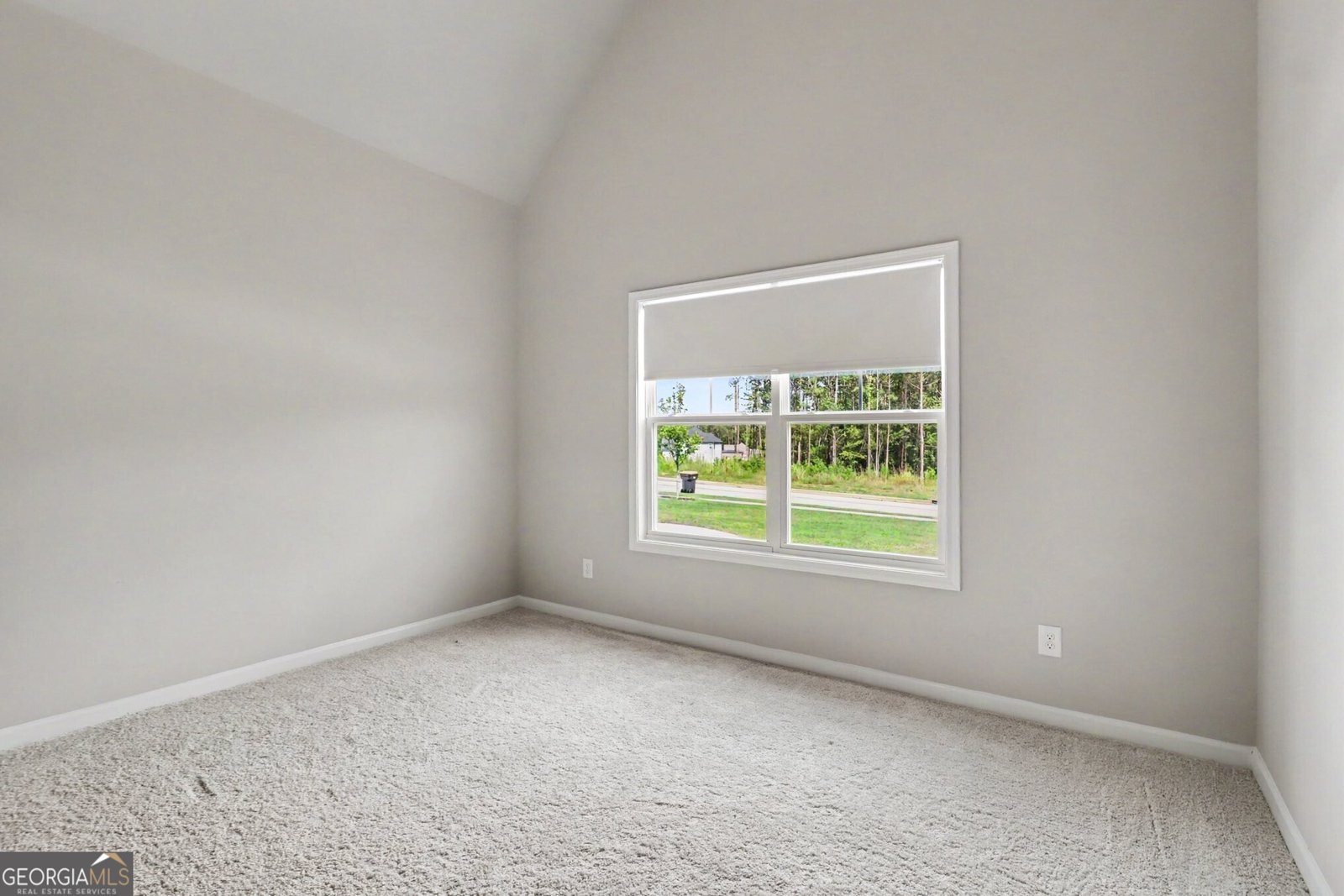156 Belle Hall Drive Newnan - Photo 28