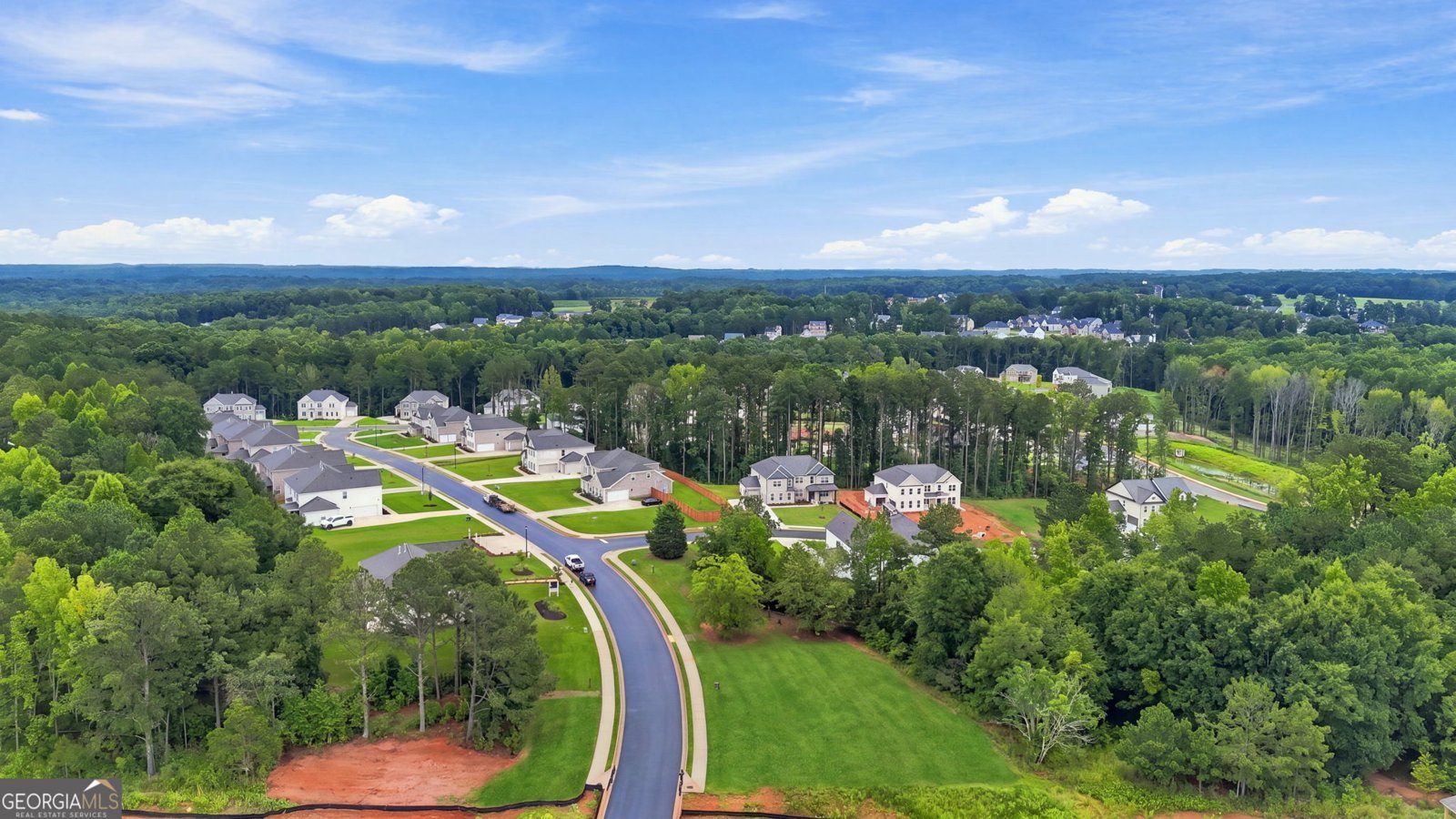 301 Delta Drive McDonough - Photo 81