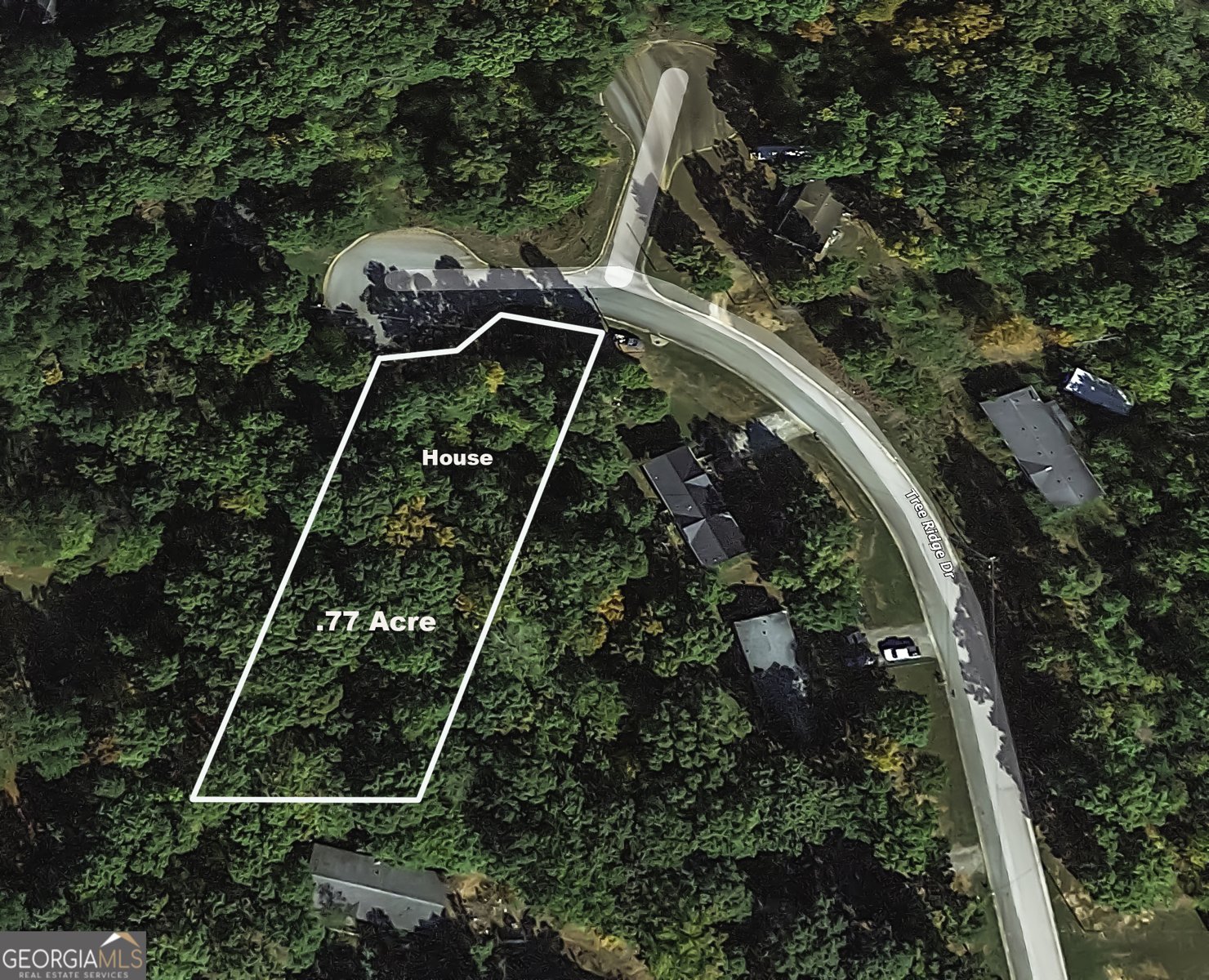 530 Tree Ridge Carrollton - Photo 39
