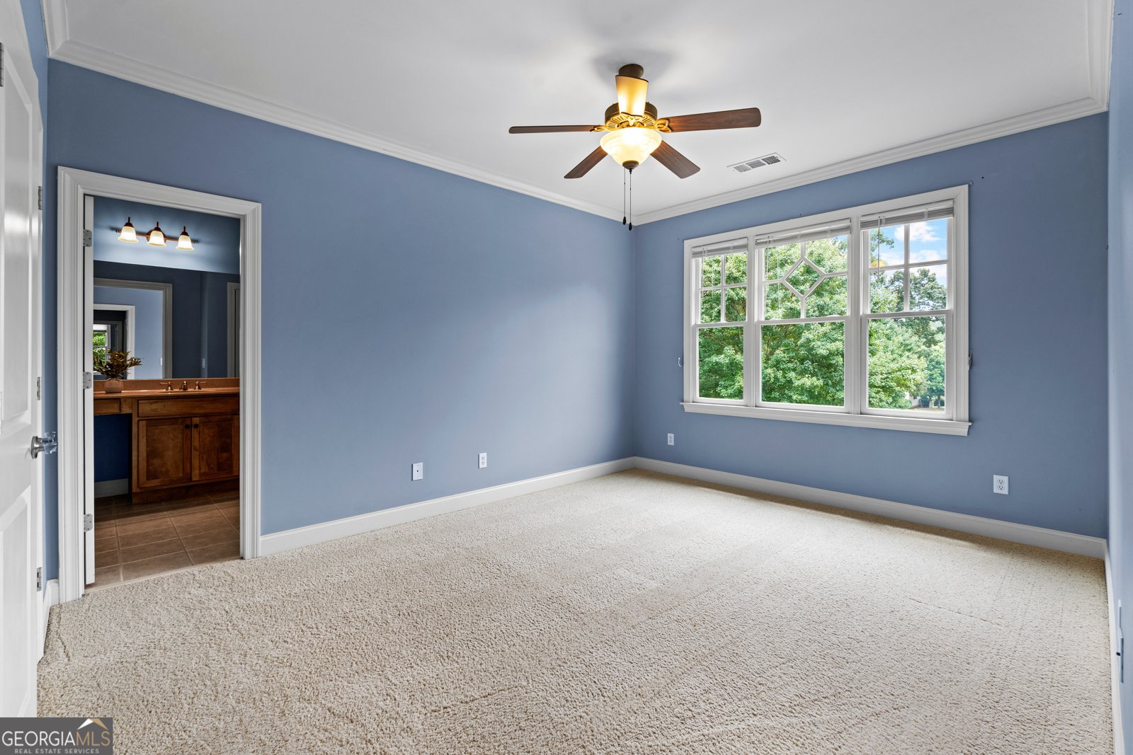 120 Crystal Court Tyrone - Photo 66