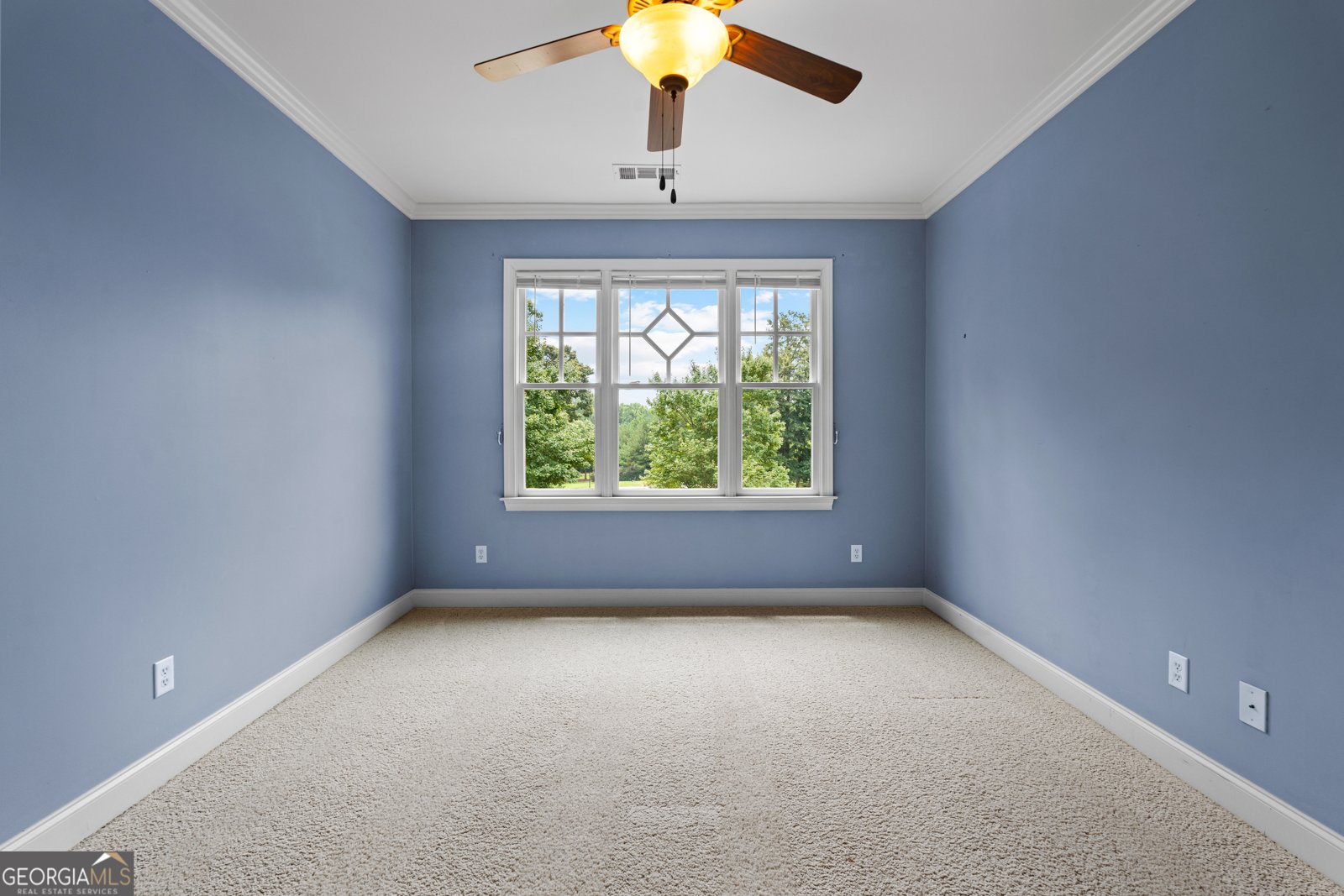 120 Crystal Court Tyrone - Photo 67