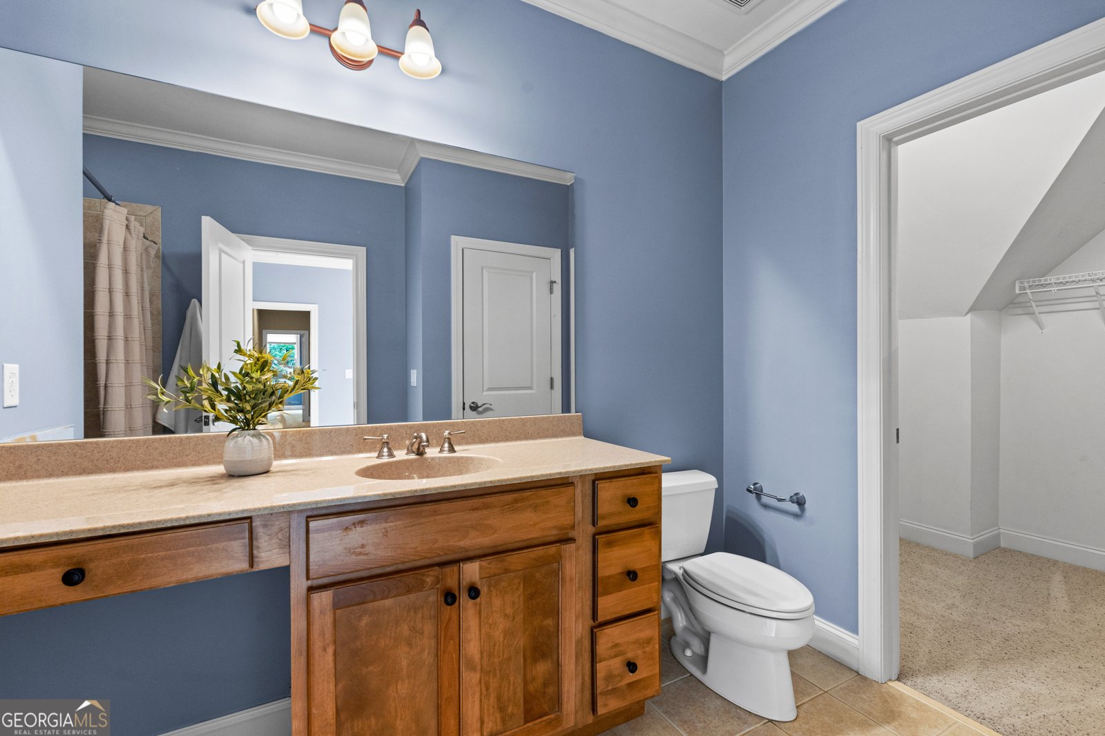 120 Crystal Court Tyrone - Photo 69