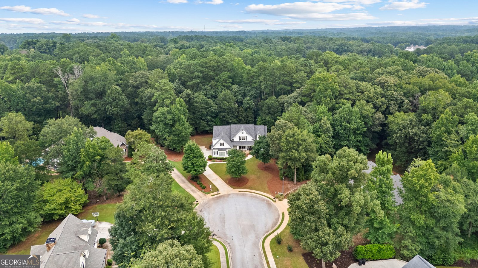 120 Crystal Court Tyrone - Photo 96