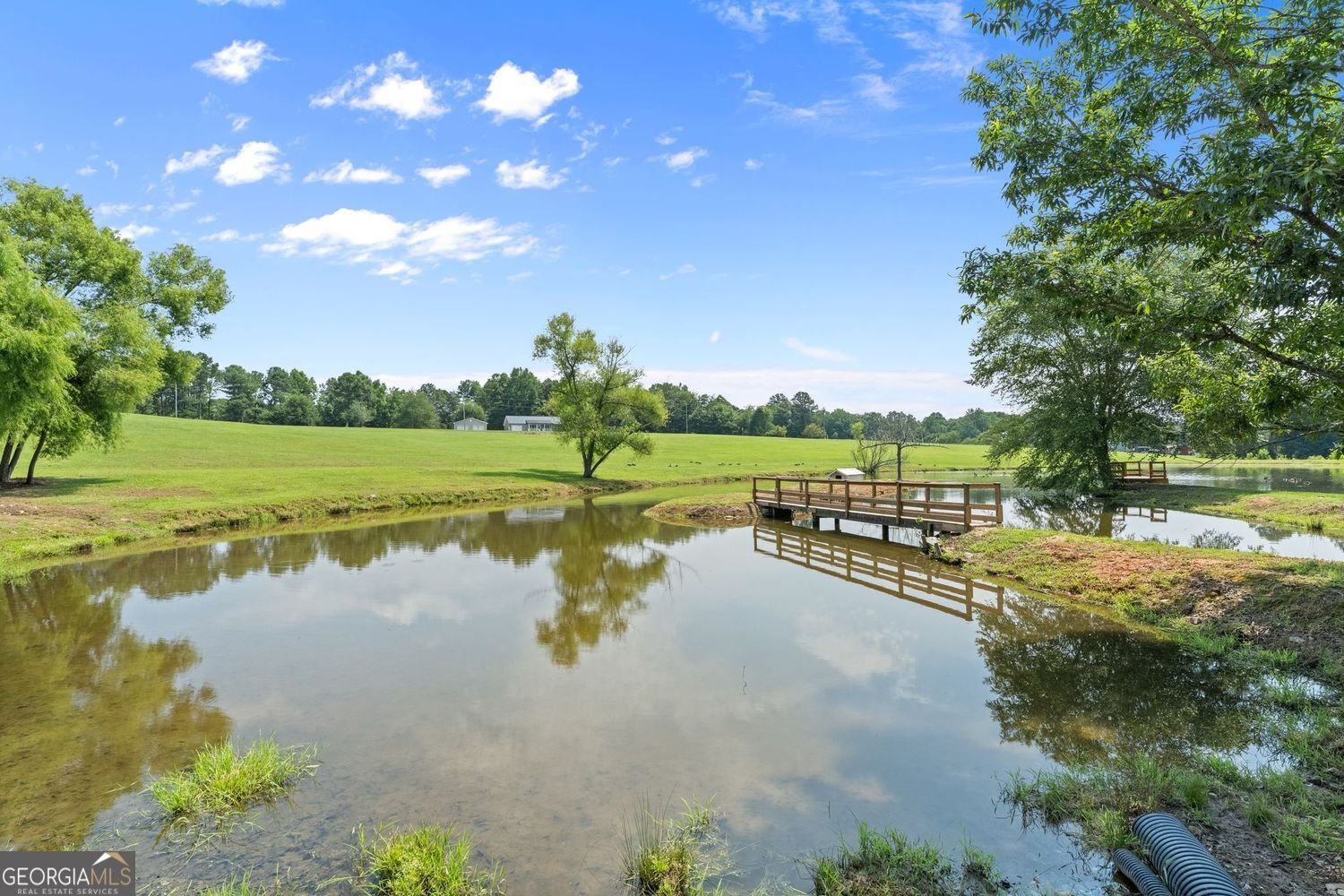 5473 Stevenson Road Murrayville - Photo 49