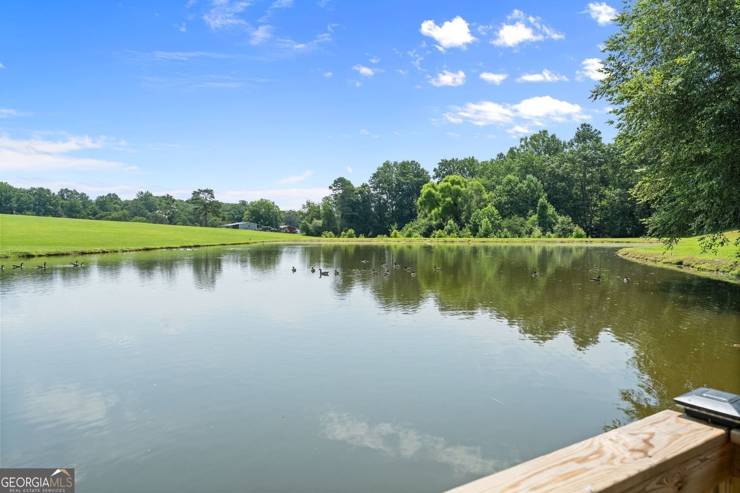 5473 Stevenson Road Murrayville - Photo 52