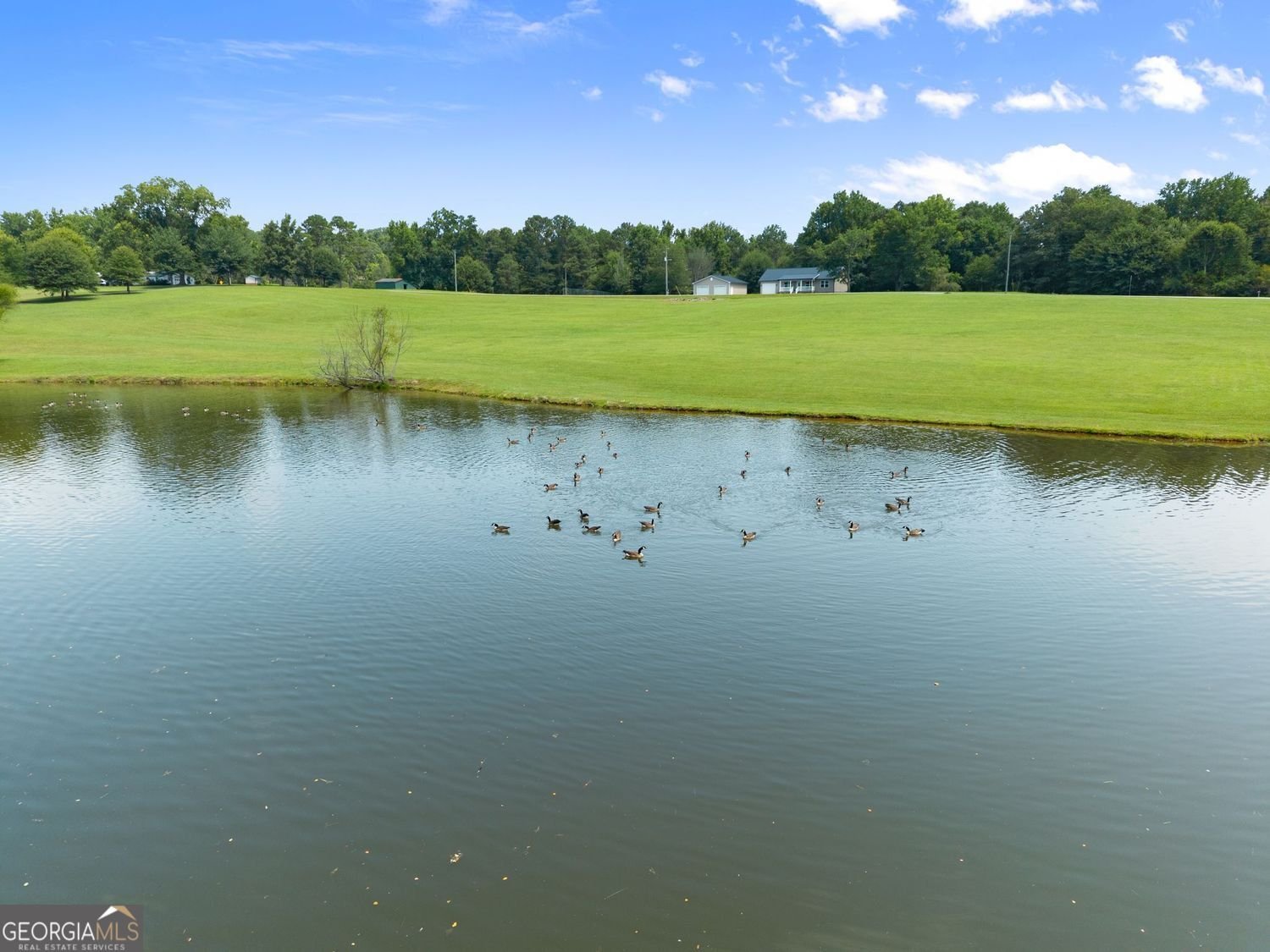 5473 Stevenson Road Murrayville - Photo 54