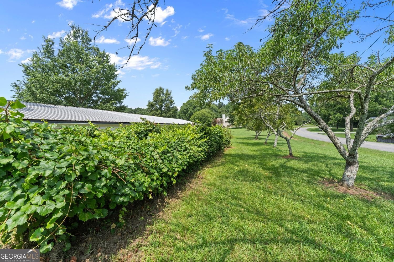 5473 Stevenson Road Murrayville - Photo 57