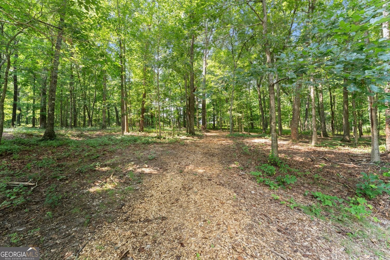 5473 Stevenson Road Murrayville - Photo 59