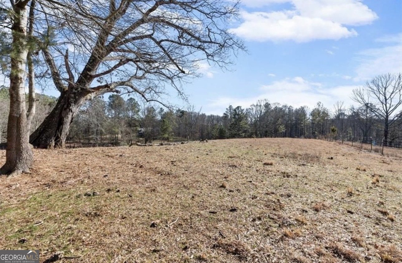 80 Hand Road Bowdon - Photo 42