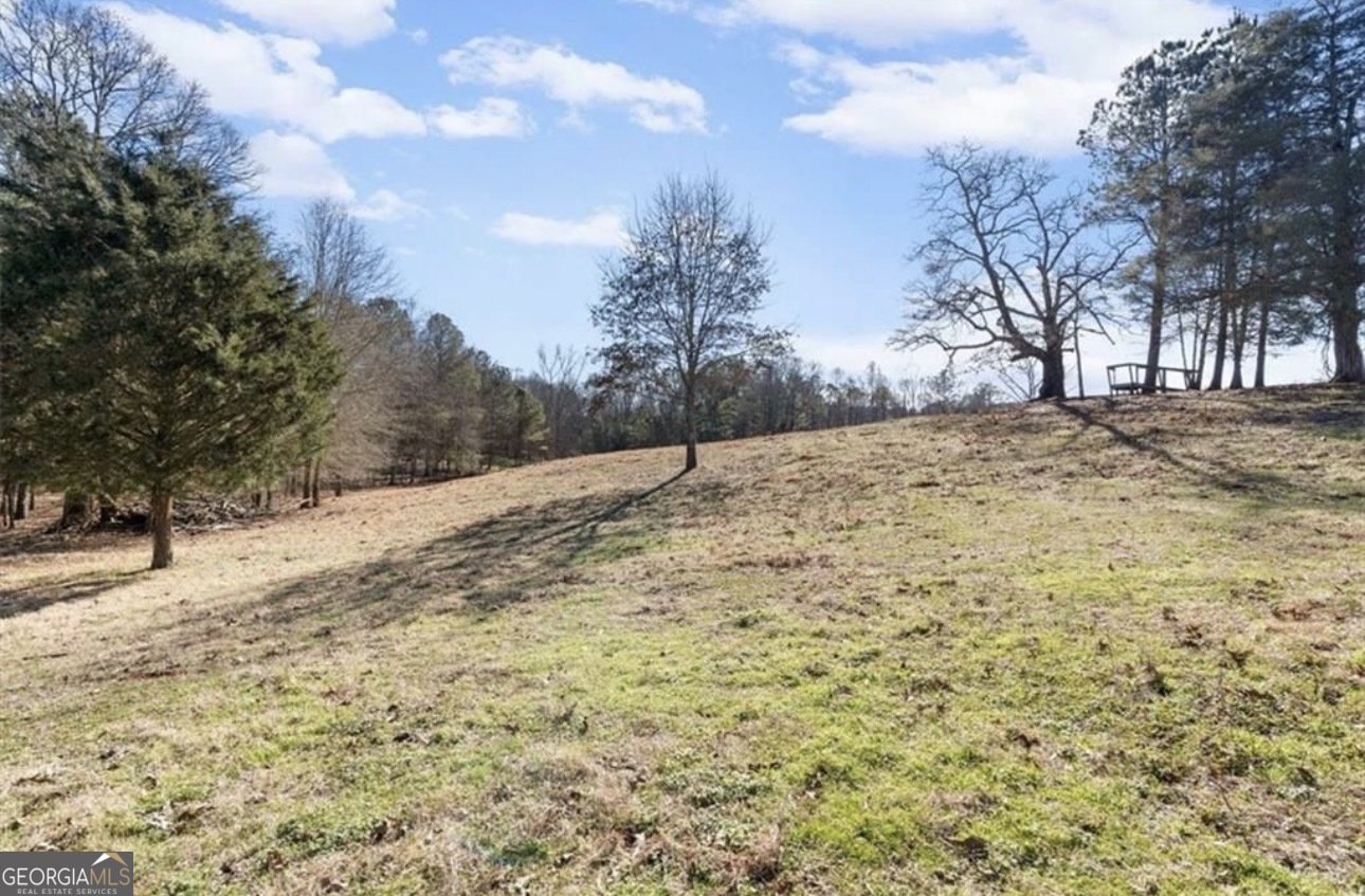 80 Hand Road Bowdon - Photo 43