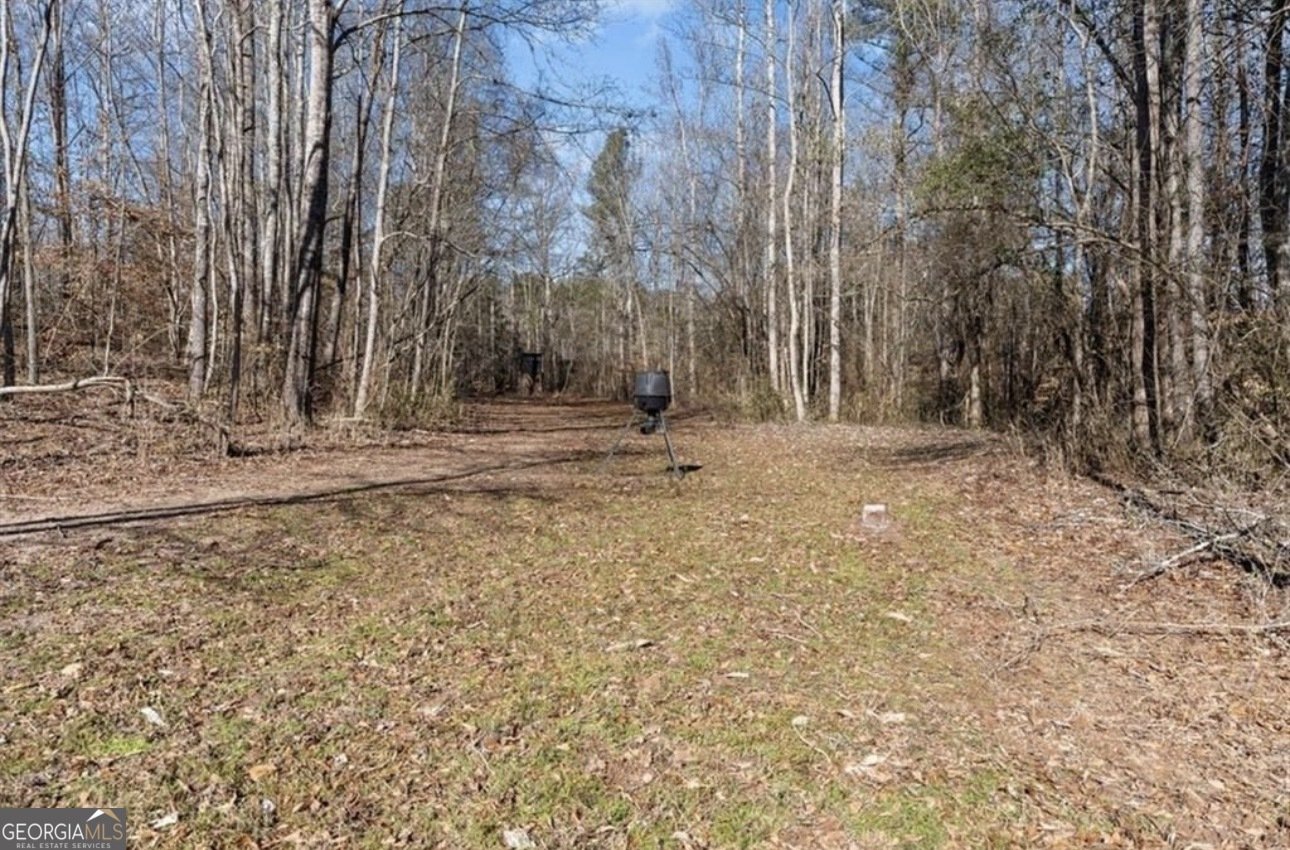 80 Hand Road Bowdon - Photo 44