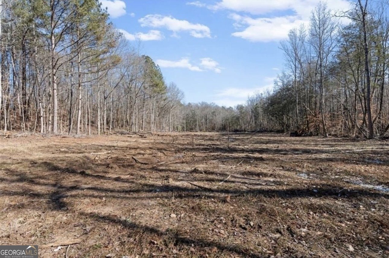 80 Hand Road Bowdon - Photo 45