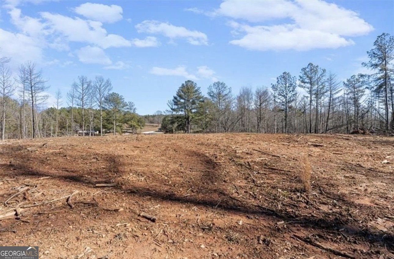 80 Hand Road Bowdon - Photo 48