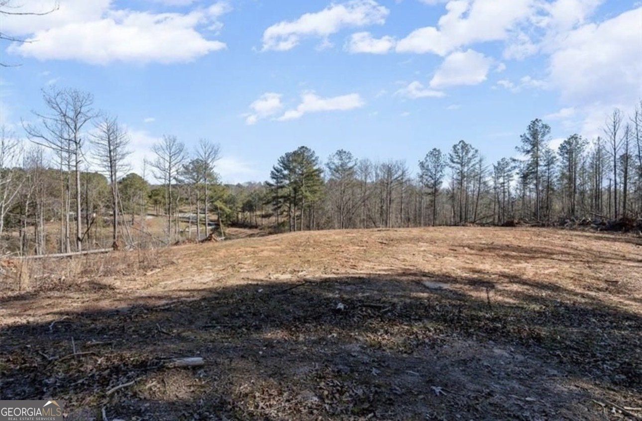 80 Hand Road Bowdon - Photo 49
