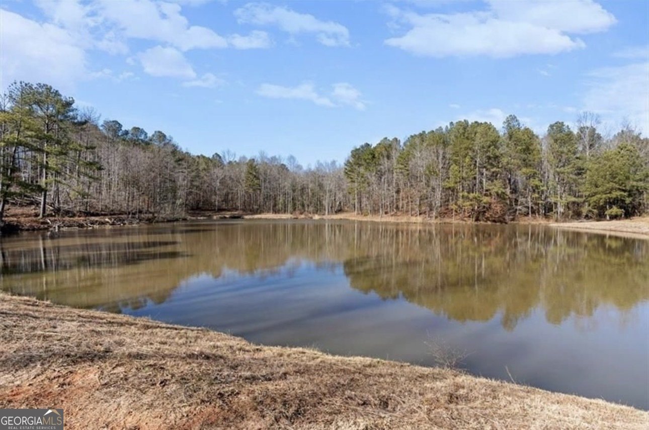 80 Hand Road Bowdon - Photo 50