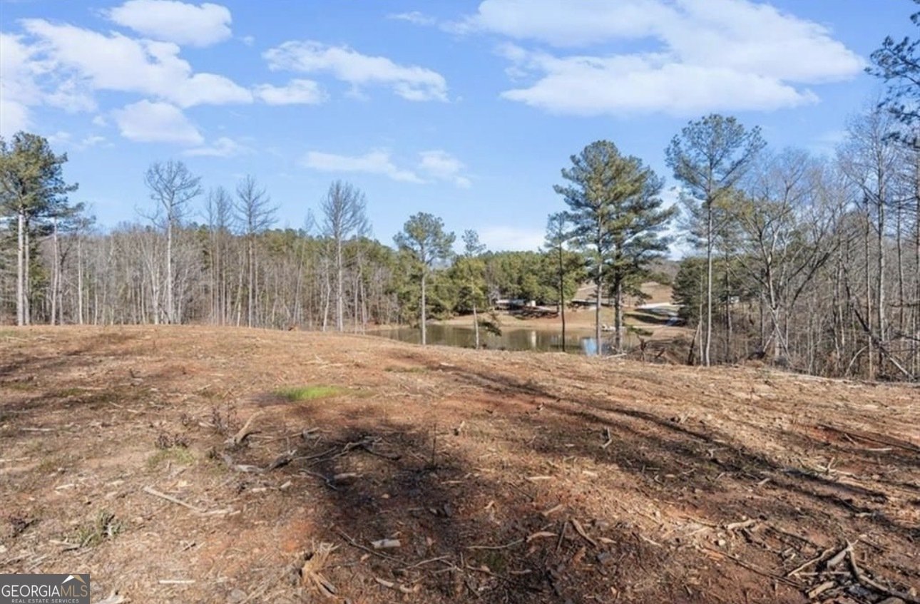 80 Hand Road Bowdon - Photo 51