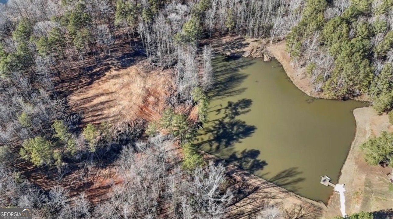 80 Hand Road Bowdon - Photo 61