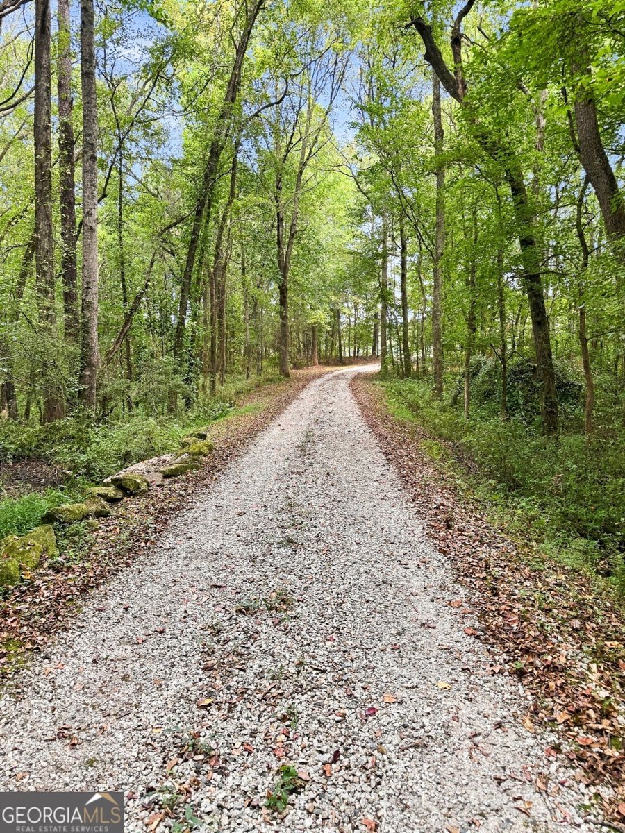 1834 Highway 16 Jackson - Photo 85