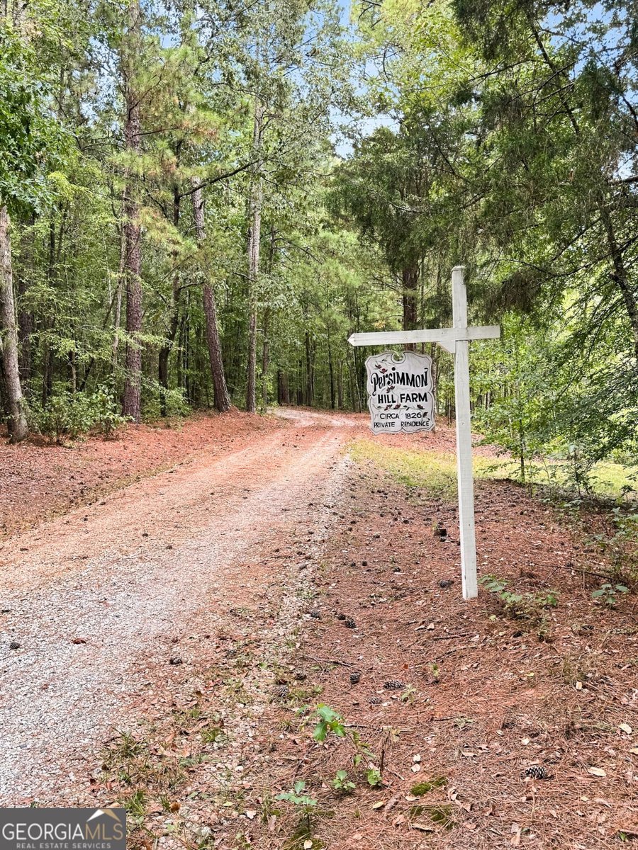 1834 Highway 16 Jackson - Photo 88