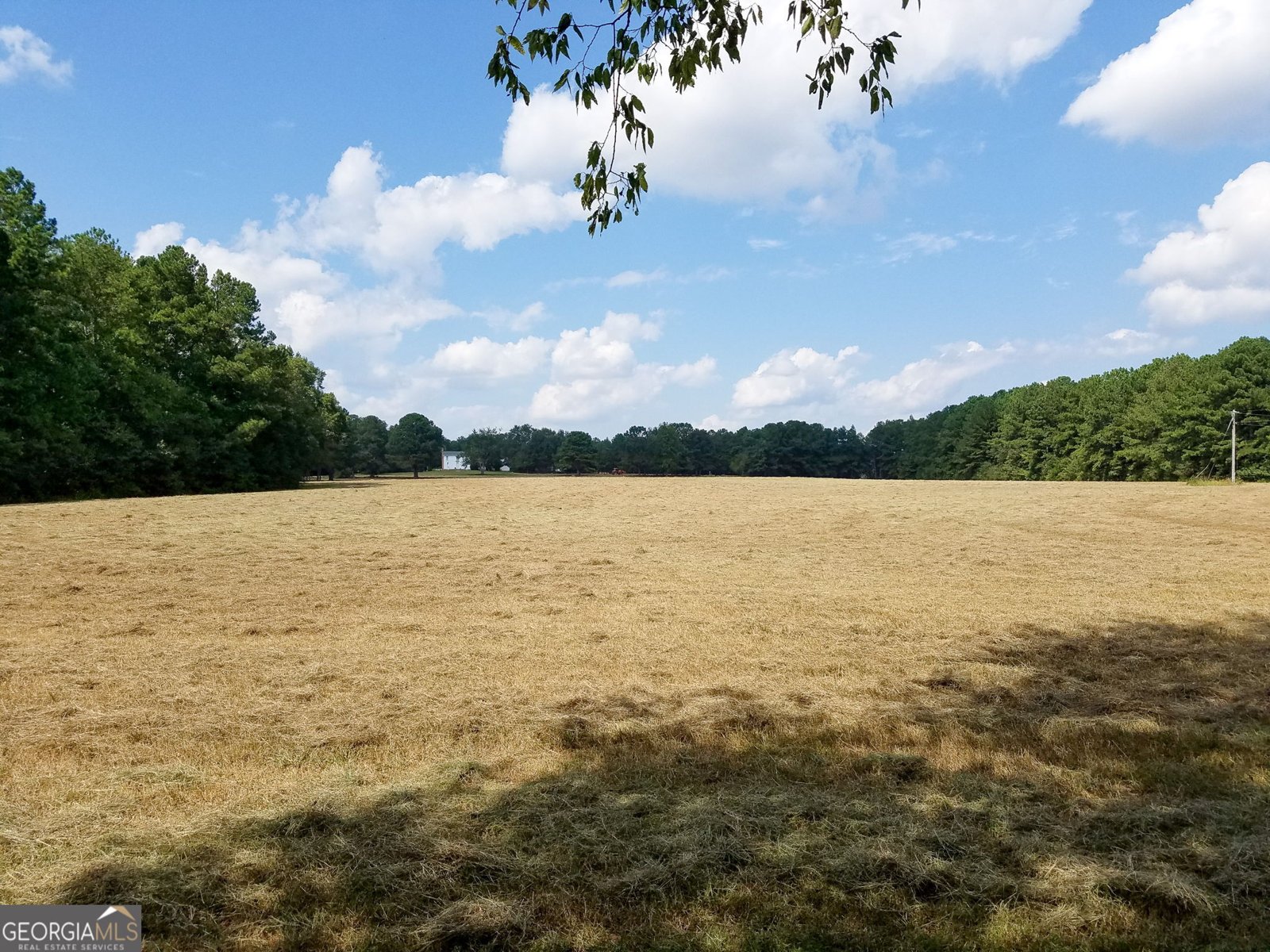 1834 Highway 16 Jackson - Photo 97