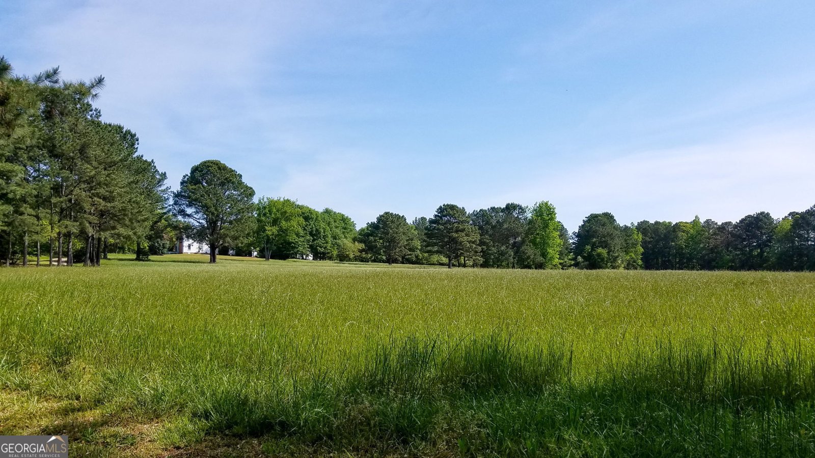 1834 Highway 16 Jackson - Photo 98