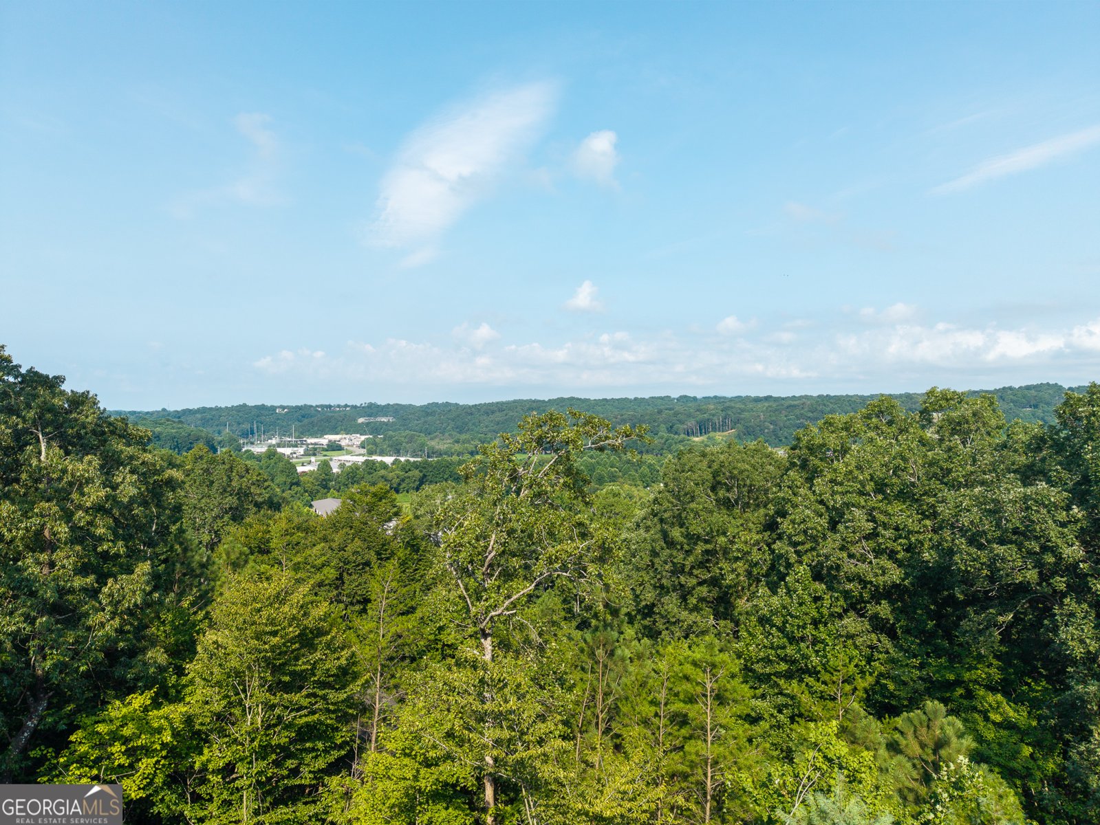 313 Jeff Drive Ellijay - Photo 40