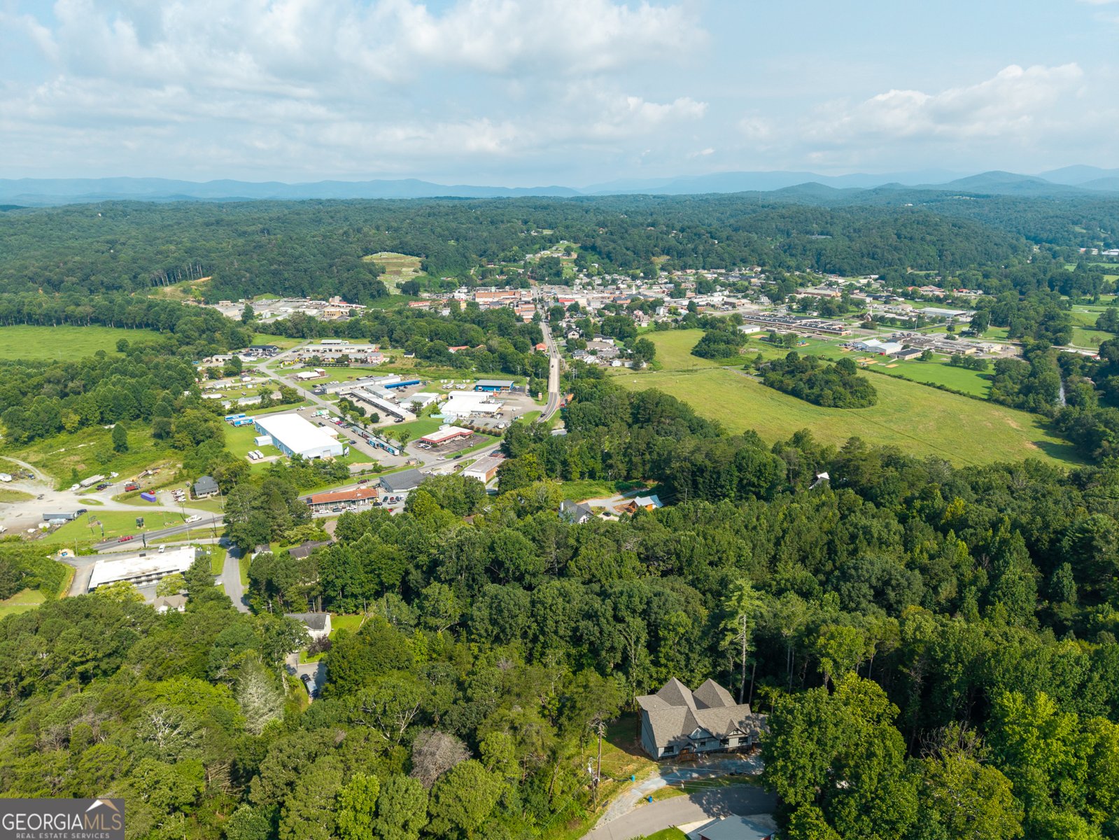 313 Jeff Drive Ellijay - Photo 46