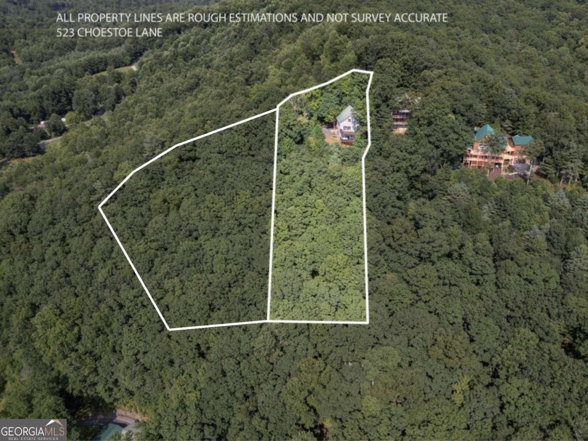 523 Choestoe Lane Blairsville - Photo 21