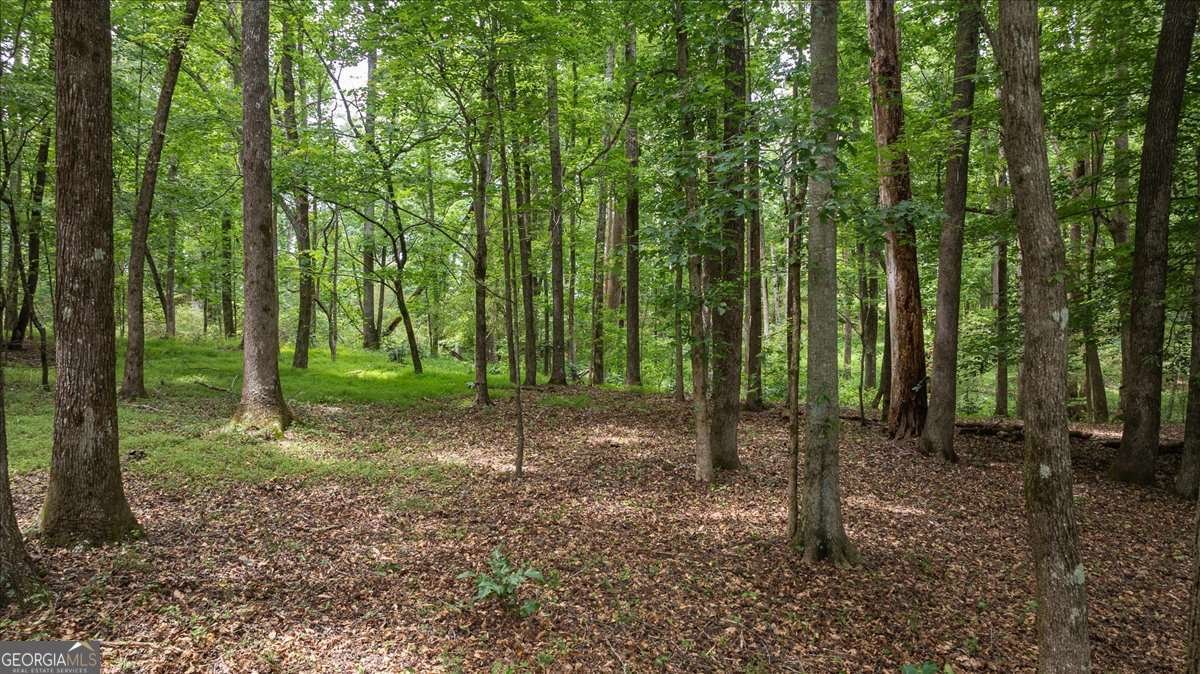 210 Old Elberton Road Athens - Photo 49