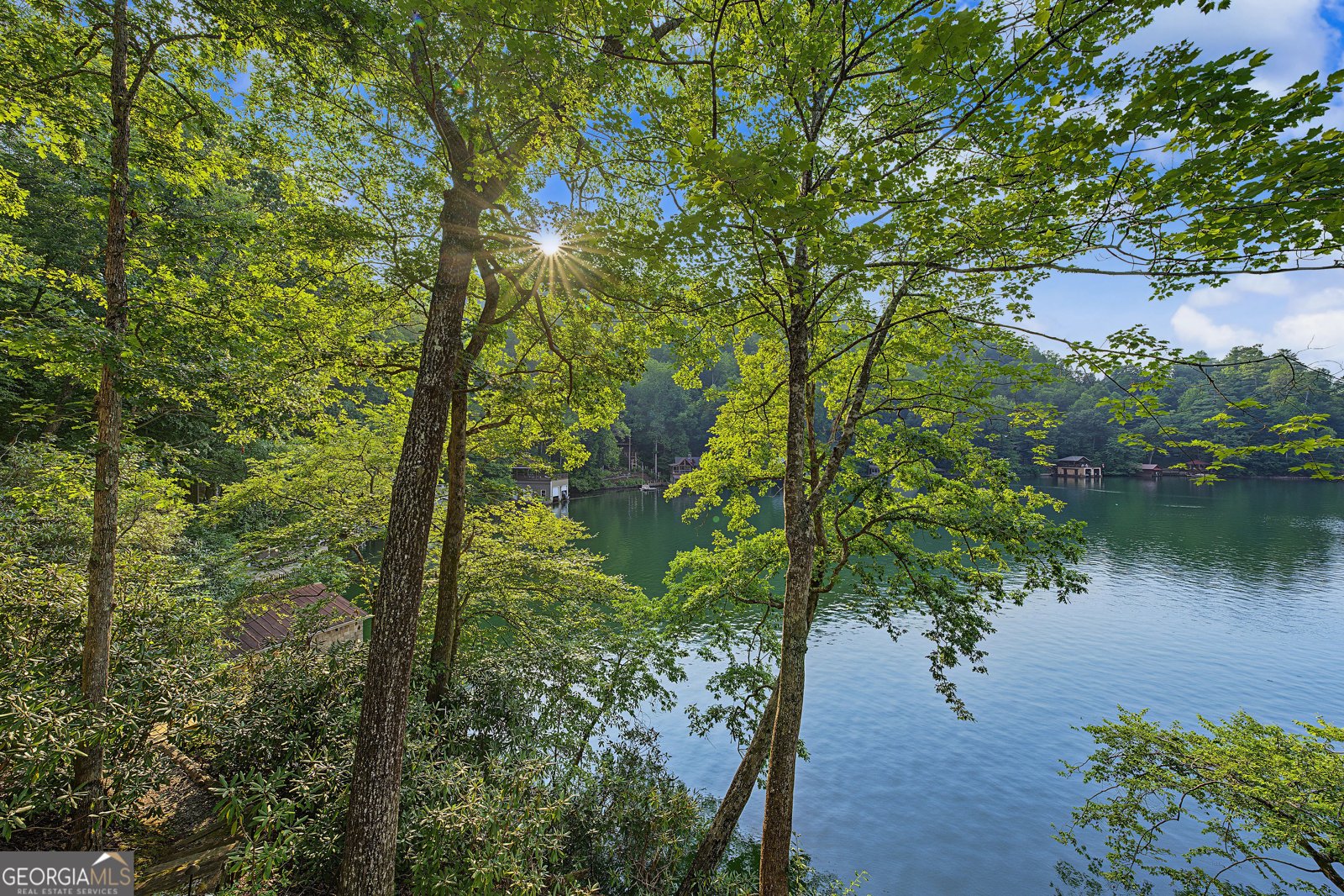 156 Baldwin Lane Clayton - Photo 6