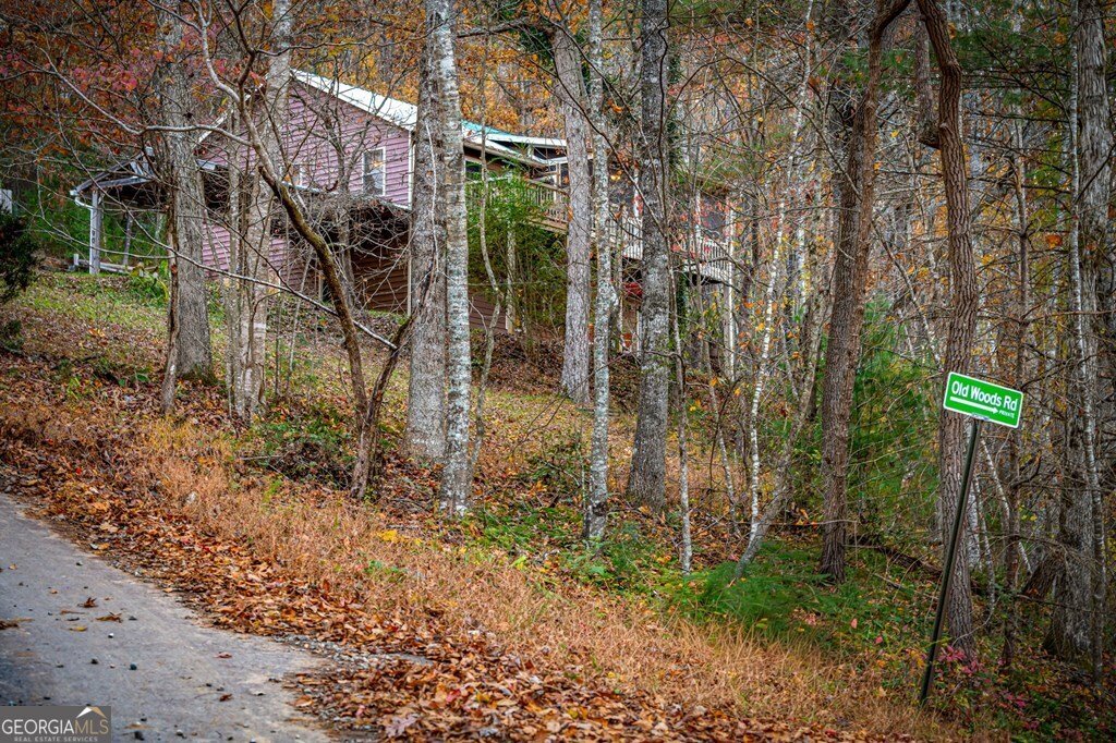 90 Hay Lane Morganton - Photo 84