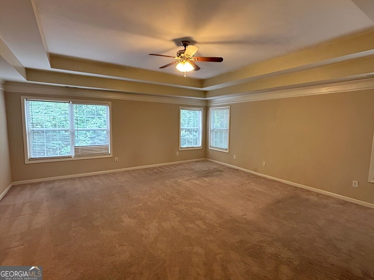 216 Daybreak Rush Canton - Photo 18