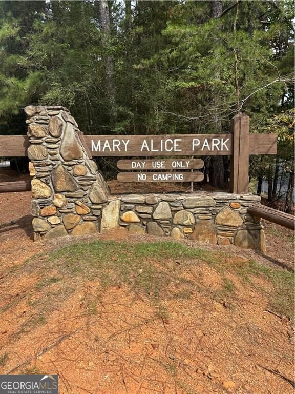 2455 Hawk Creek Trail Cumming - Photo 38