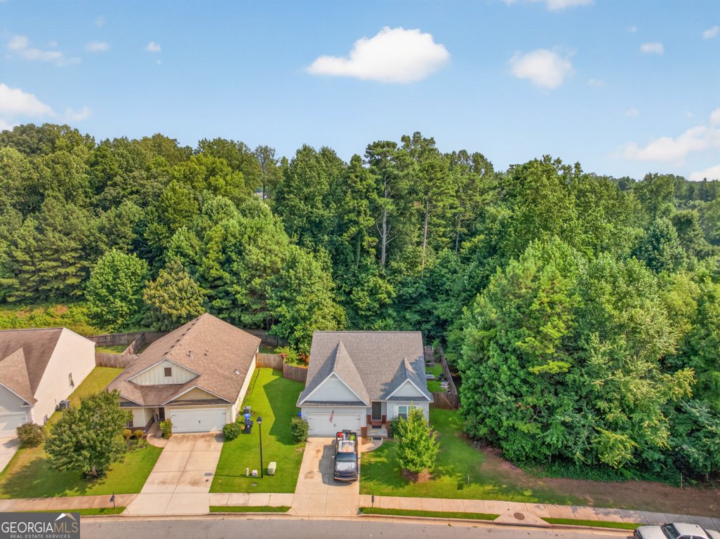 4307 Pearhaven Lane Gainesville - Photo 46