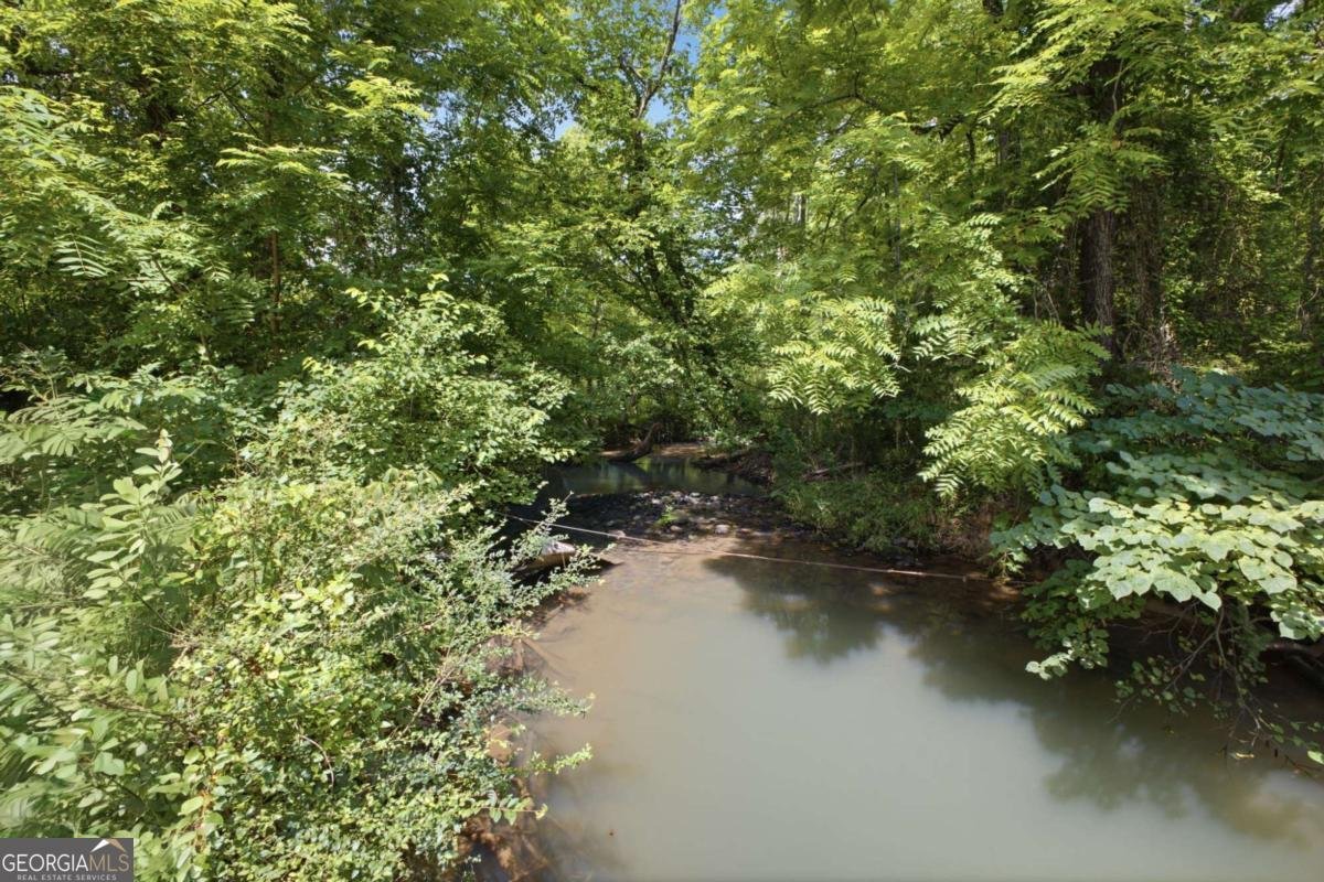 206 Henson Road Cave Spring - Photo 53