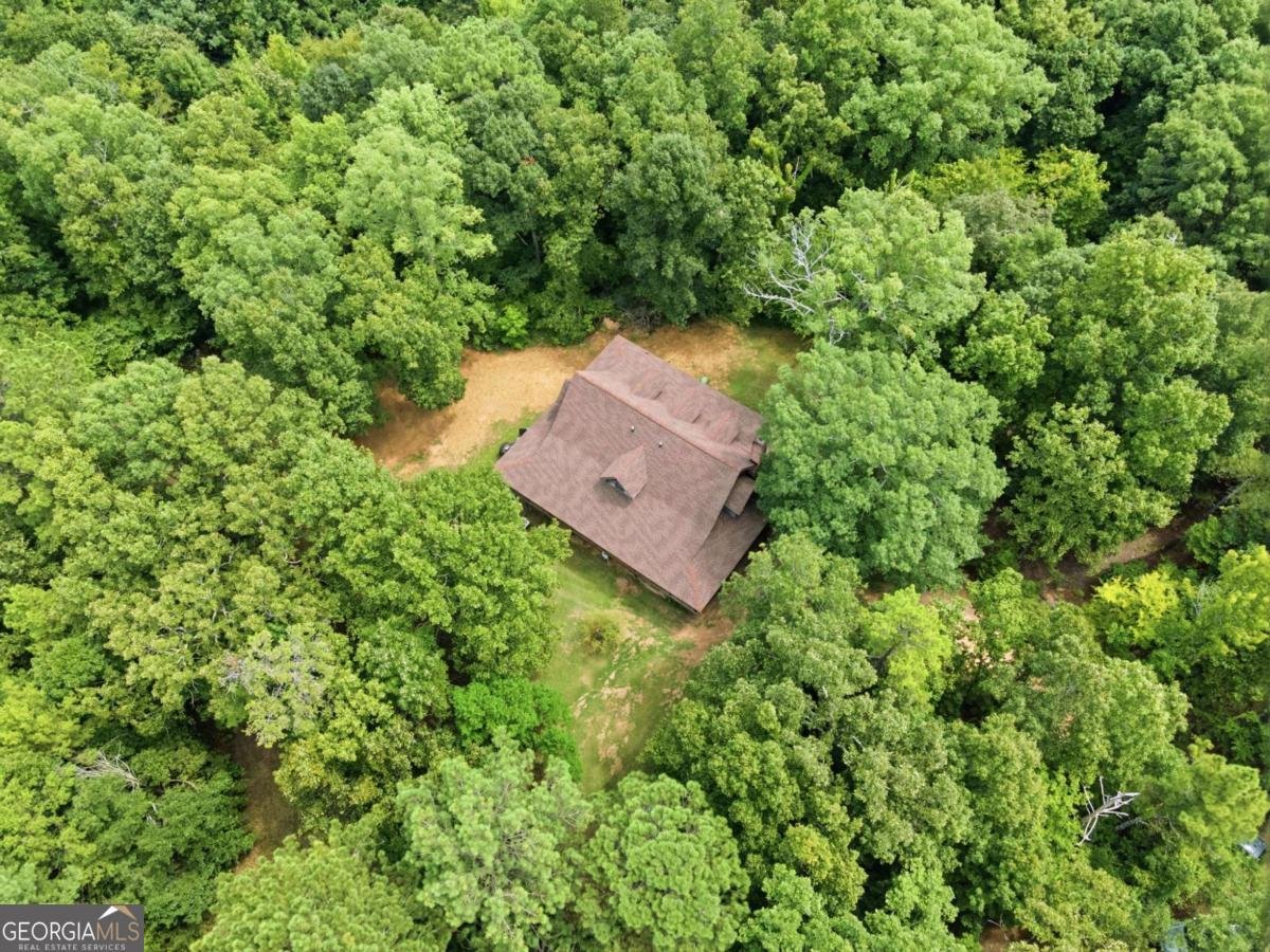 206 Henson Road Cave Spring - Photo 54