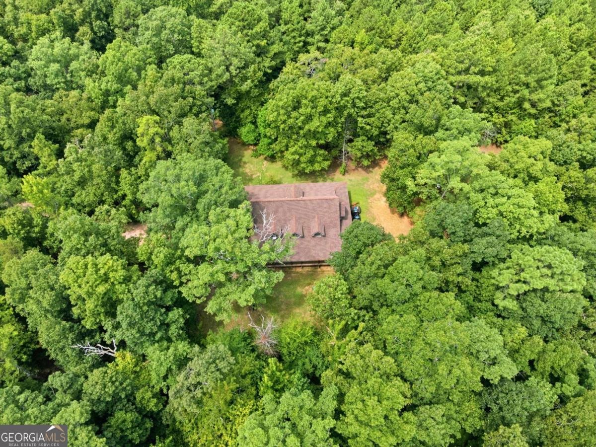 206 Henson Road Cave Spring - Photo 55