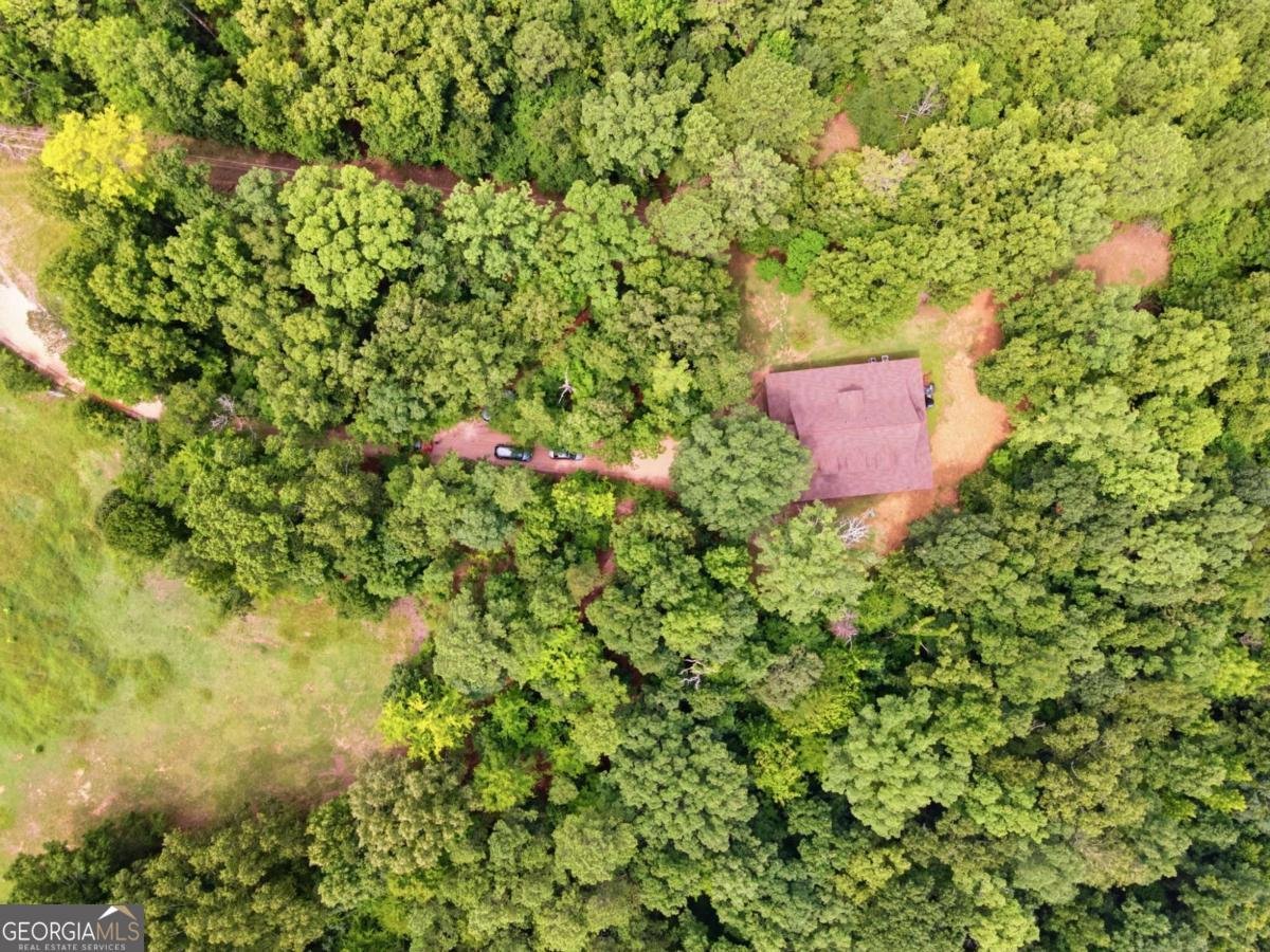 206 Henson Road Cave Spring - Photo 57