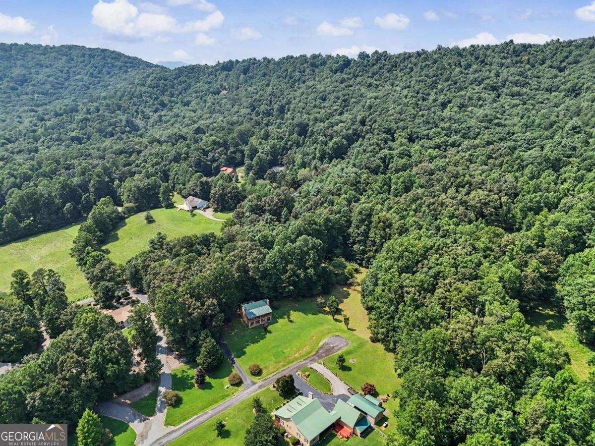 2360 Robin Hood Trail Hiawassee - Photo 57