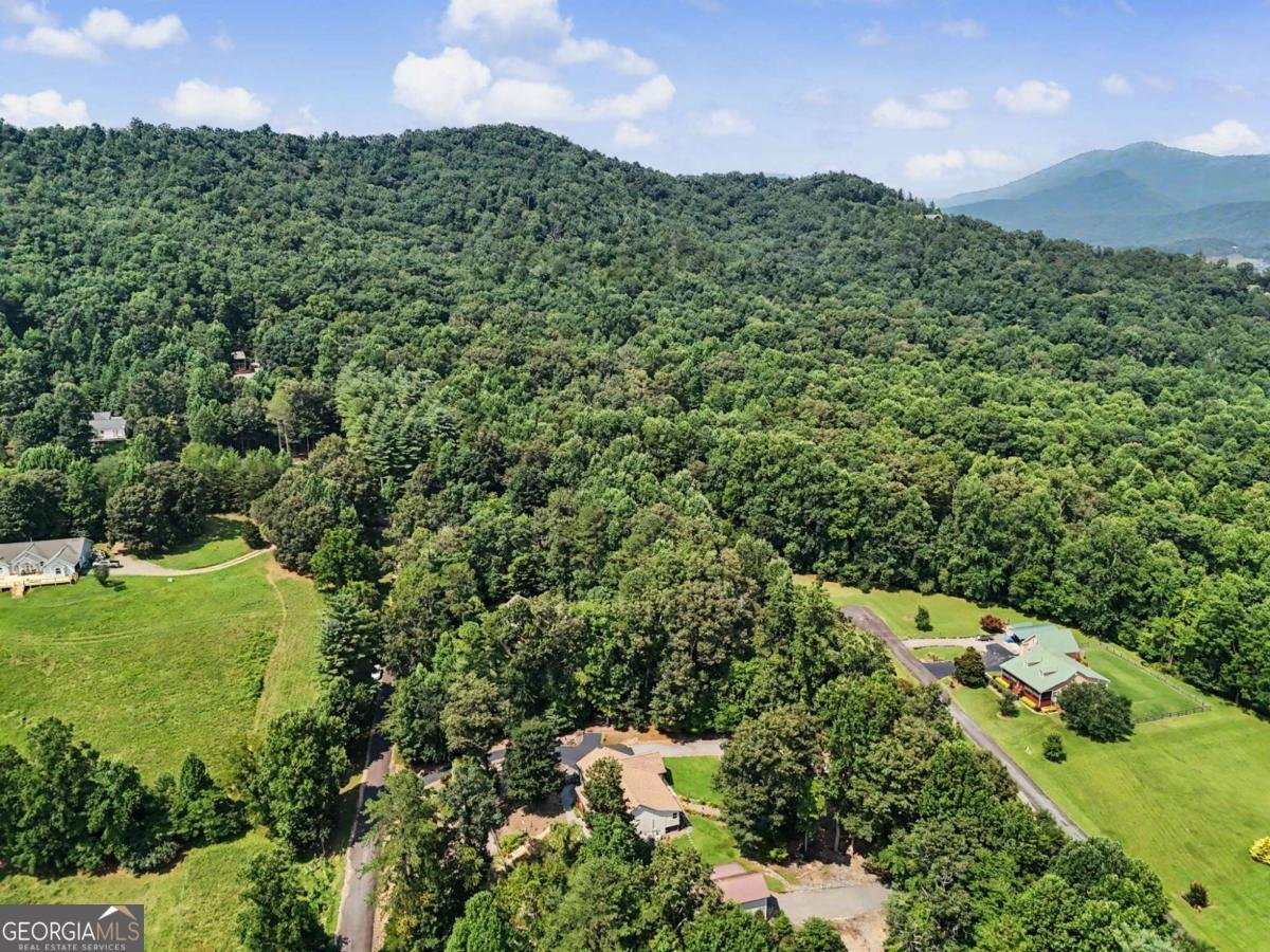 2360 Robin Hood Trail Hiawassee - Photo 58