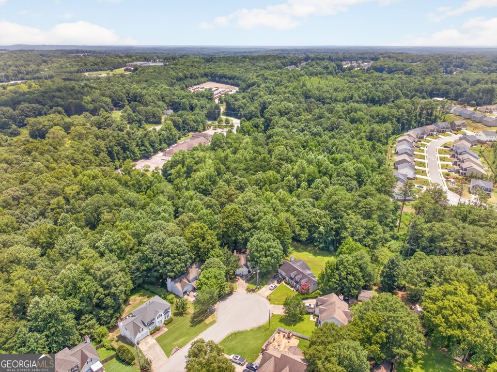 2345 Rocky Waters Trail Buford - Photo 43