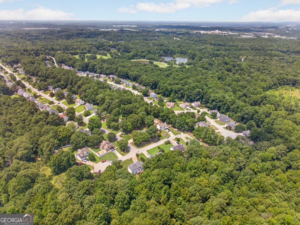 2345 Rocky Waters Trail Buford - Photo 47